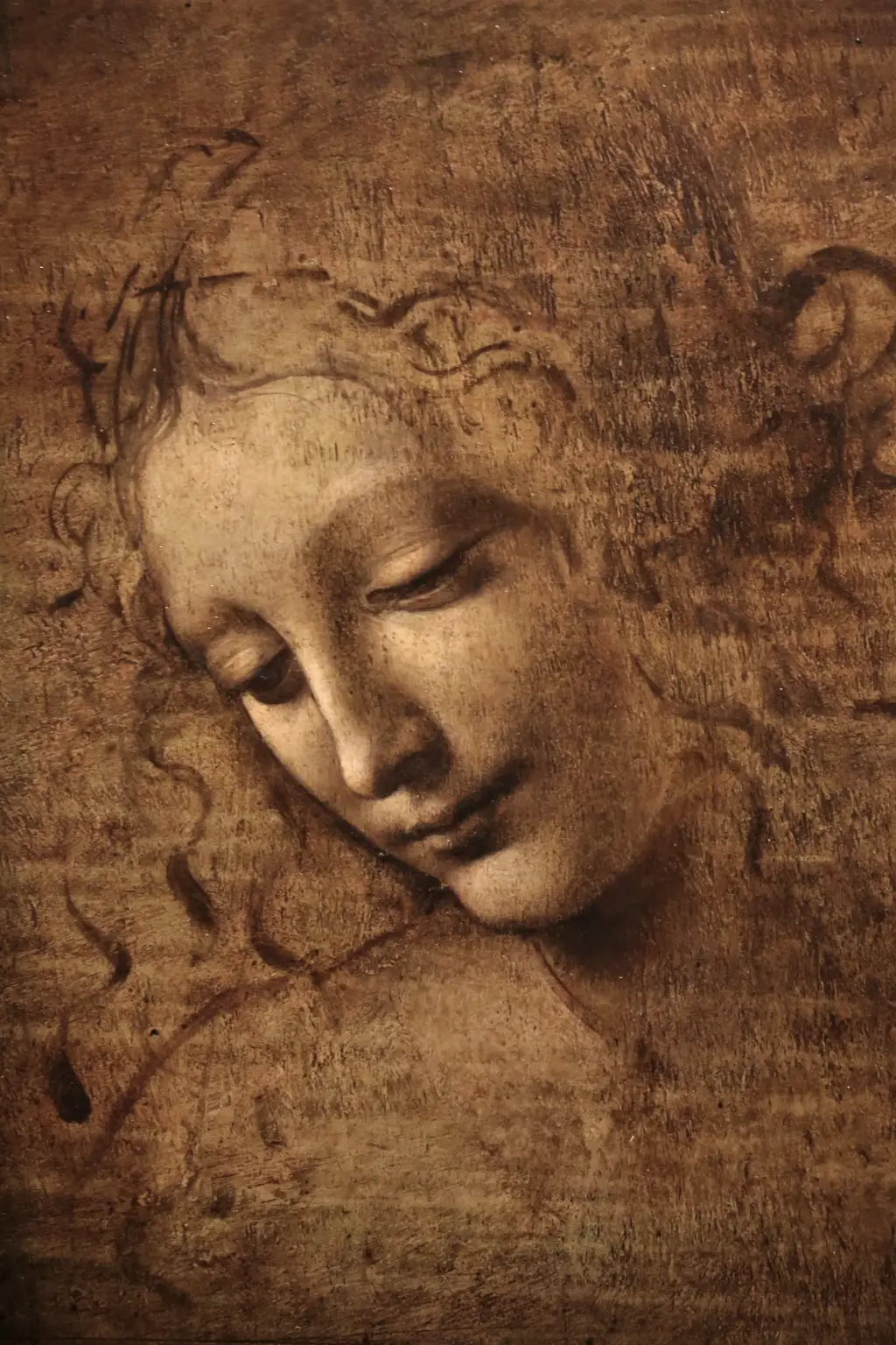 La Scapigliata in Detail Leonardo da Vinci